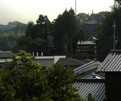 當麻寺の五十塔